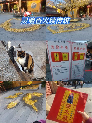 今日打卡祈福地