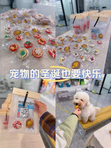 来店给毛孩子领圣诞烘焙小零食啦！