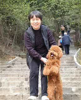 “别再只带狗狗逛小区了,这些景区任你选!”