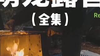 萌宠露营（全集）#露营 #助眠 #解压 #萌宠 #户外露营