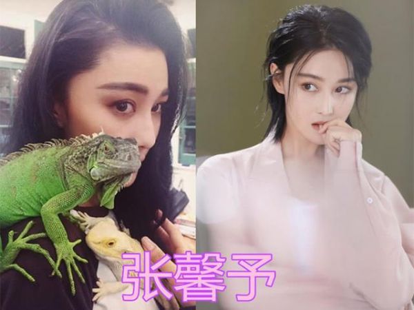 明星都养奇葩宠物？朱赞锦蜜袋鼯，宋茜小香猪，朱一龙：不愧是你