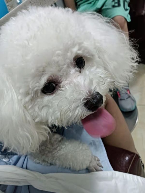 朵朵早点回家吧