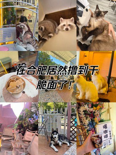 在合肥撸到干脆面了！