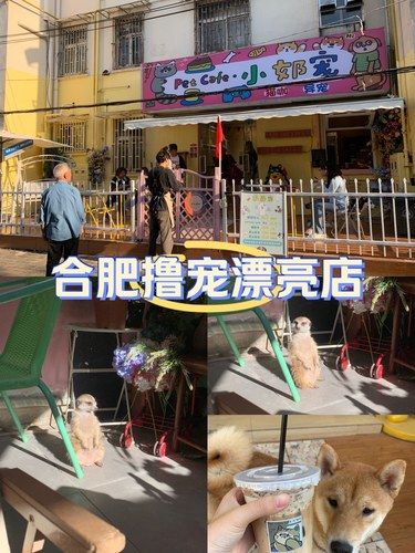 合肥新开的漂亮小店