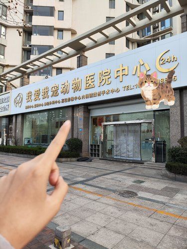 青岛排名第一的宠物医院太牛了