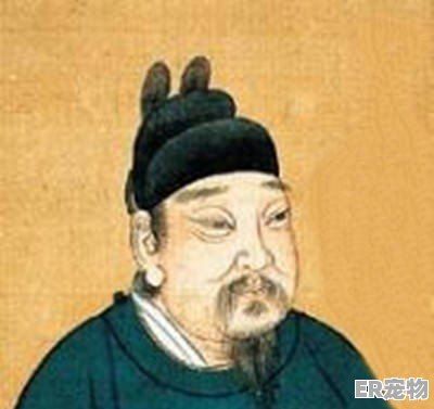 濮阳宠物狗领养中心
