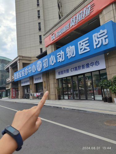 青岛宠物医院哪家强？？？