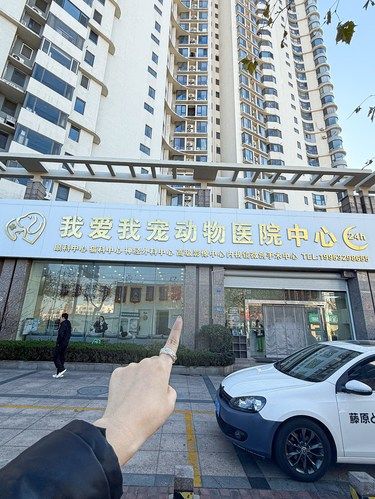 青岛这家宠物医院！有毛孩子的速进！！！