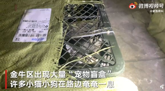 搜狗截图20210504175858