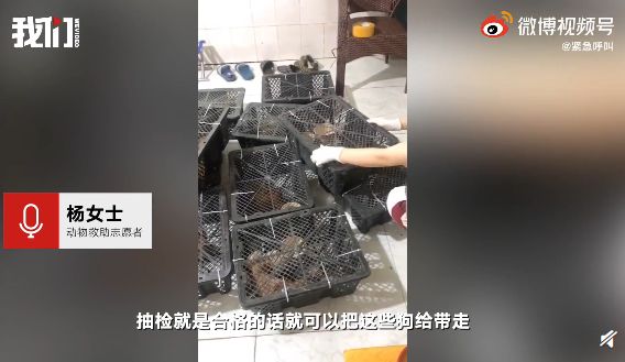搜狗截图20210504175828