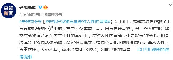 来源：大象新闻、新京报我们视频、央视新闻
