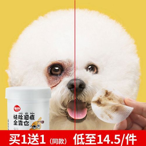 宠物洗澡与去泪痕科学方法与误区解析