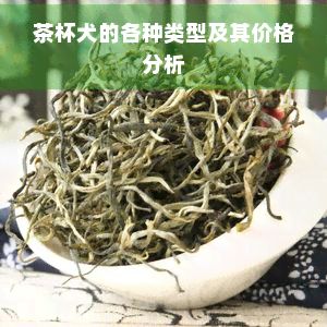 茶杯犬的各种类型及其价格分析