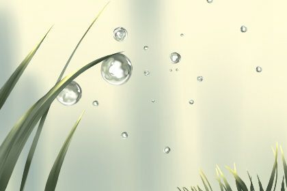 宠物名字大全