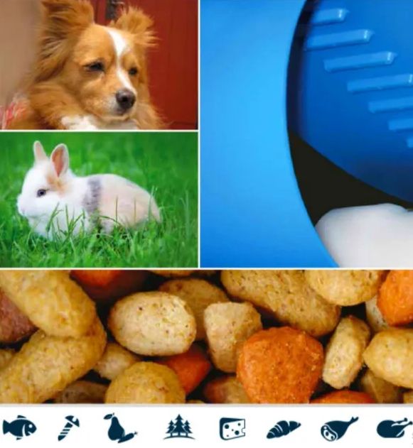 宠物食品输送带
