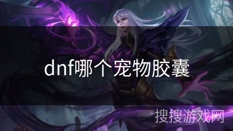 dnf哪个宠物胶囊