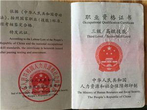 文明养狗，从我做起