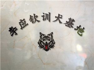 狗狗训练寄养