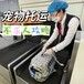 湛江宠物托运在线本地服务航空运输有氧舱