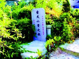 狗儿也要埋公墓