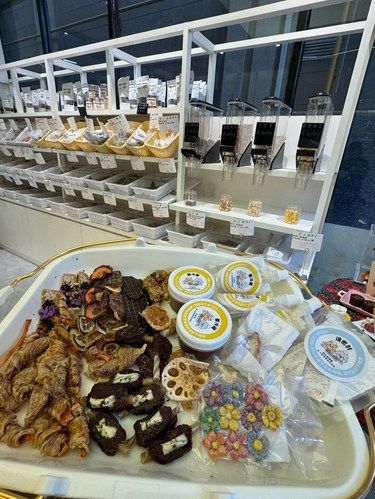 卧卧卧。。南昌首家！！宠物鲜食！！有了
