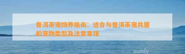 普洱茶宠饲养指南：适合与普洱茶宠共居的宠物类型及注意事项