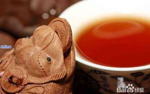 普洱茶宠饲养指南：适合与普洱茶宠共居的宠物类型及注意事项