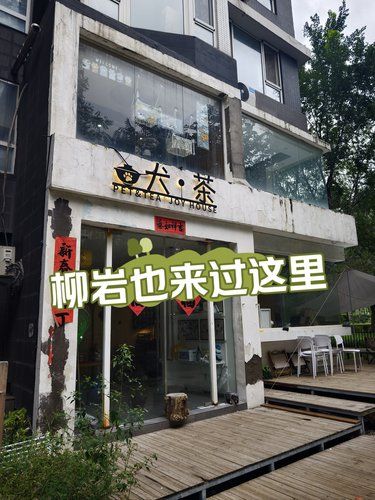 探店《我家那闺女》踩景地