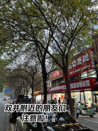 双井又有新变化？！