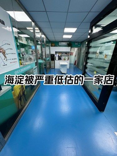 海淀一家被严重低估的店