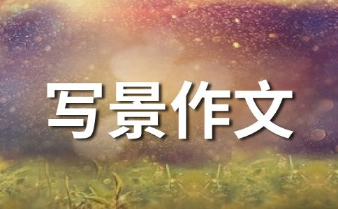 我的宠物“小白”