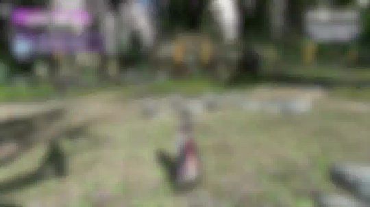 黑色沙漠宠物鹰定位指南：轻松掌握鹰踪迹，探索神秘世界