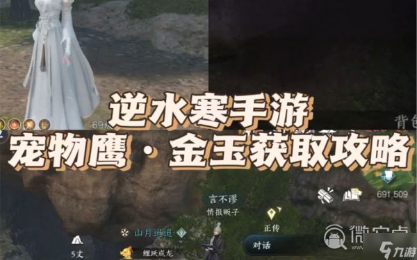 《逆水寒手游》宠物鹰金玉获得方法