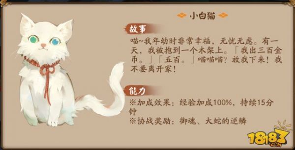 阴阳师小白猫怎么样 宠物小白猫获取说明