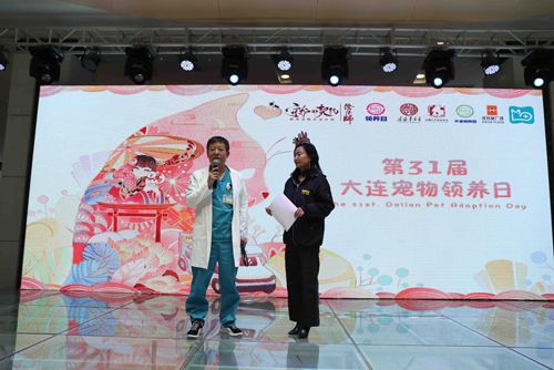 阴阳师医疗领养公益救助车开启治愈之旅6