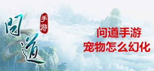 《问道》手游宠物怎么幻化 宠物幻化方法介绍