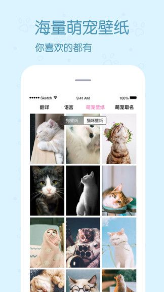 影盟宠物翻译器手机版 v2.2.7 安卓版 3
