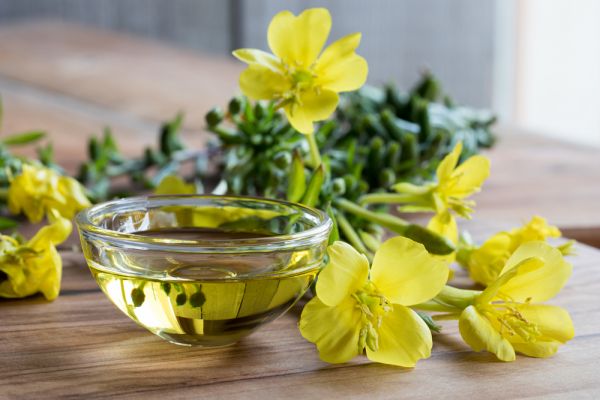 狗用月见草油的用量、功效、小贴士