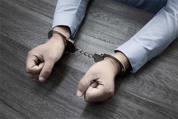 出售宠物鹌鹑犯法吗?真相大揭秘! 图2