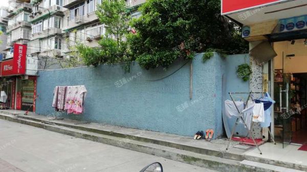 宝山大华双城路60㎡宠物店转让，个人照可用