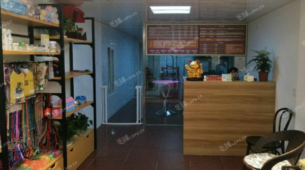 宝山大华双城路60㎡宠物店转让，个人照可用