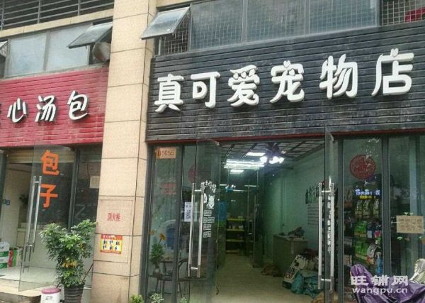 QQ截图20200504144149