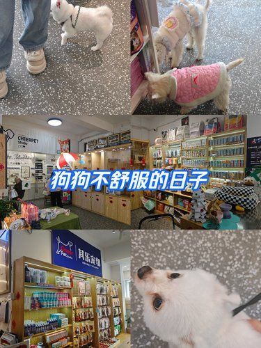 其乐宠物（翡翠湖）