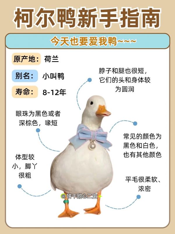 https://qcloud.dpfile.com/pc/AkiZ8c_ghYOFb1HfEFMHBx5Y74rDBxGz29ozK3HPYN4M-ahuXcLcDkIZDWWhFAtqY0q73sB2DyQcgmKUxZFQtw.jpg