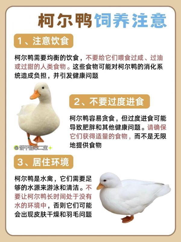 https://qcloud.dpfile.com/pc/cVT5zwVne-Pv7S5KdoVsnrRrRq3nRtZmNnZcmh7D9BfiQ5s4c9i3ibyzUhQwpOmNY0q73sB2DyQcgmKUxZFQtw.jpg