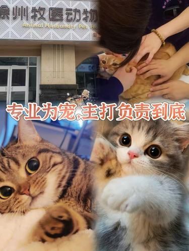 把最爱的“他”交给他，你放心吗？