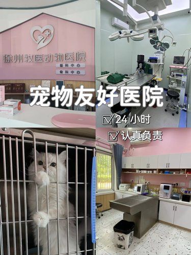 毛茸茸友好图鉴，这家动物医院很可以！
