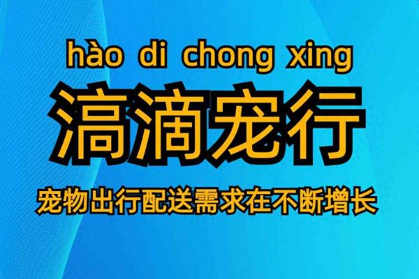 滈滴打车宠物出行配送订单中宠物狗宠物猫数量统计,智享滈滴宠行