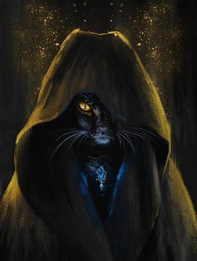 黑猫没人爱？是因为它们会带来不幸？！