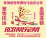 西宁帮宠帮宠物托运公司专业十年宠物托运经验